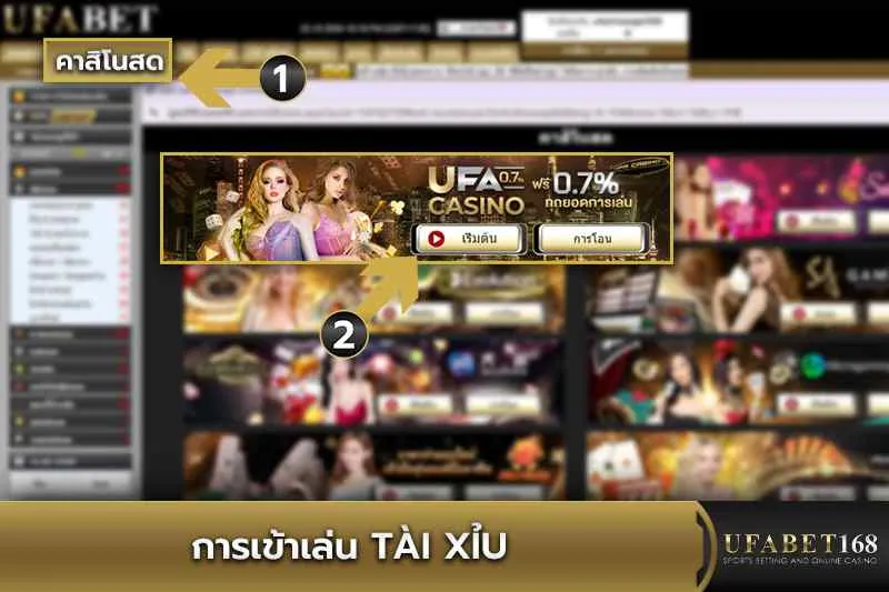 การเข้าเล่น ไฮโลเวียดนาม