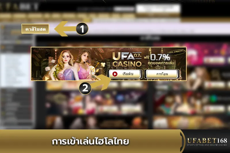 การเข้าเล่นไฮโลไทย