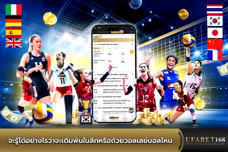 ลีกหรือถ้วยวอลเลย์บอลสำหรับเดิมพัน